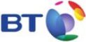 BT logo copy